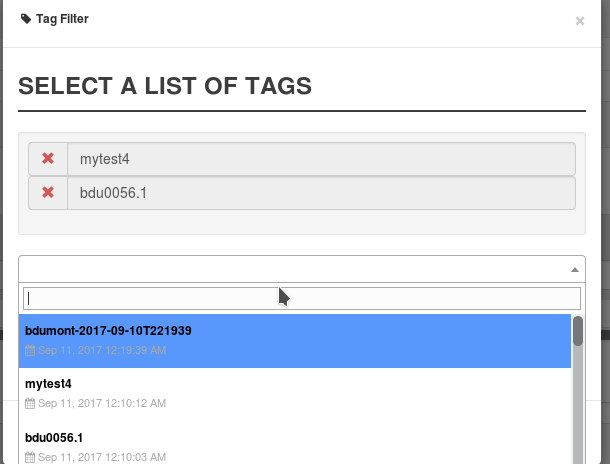 HomepageCustomTag